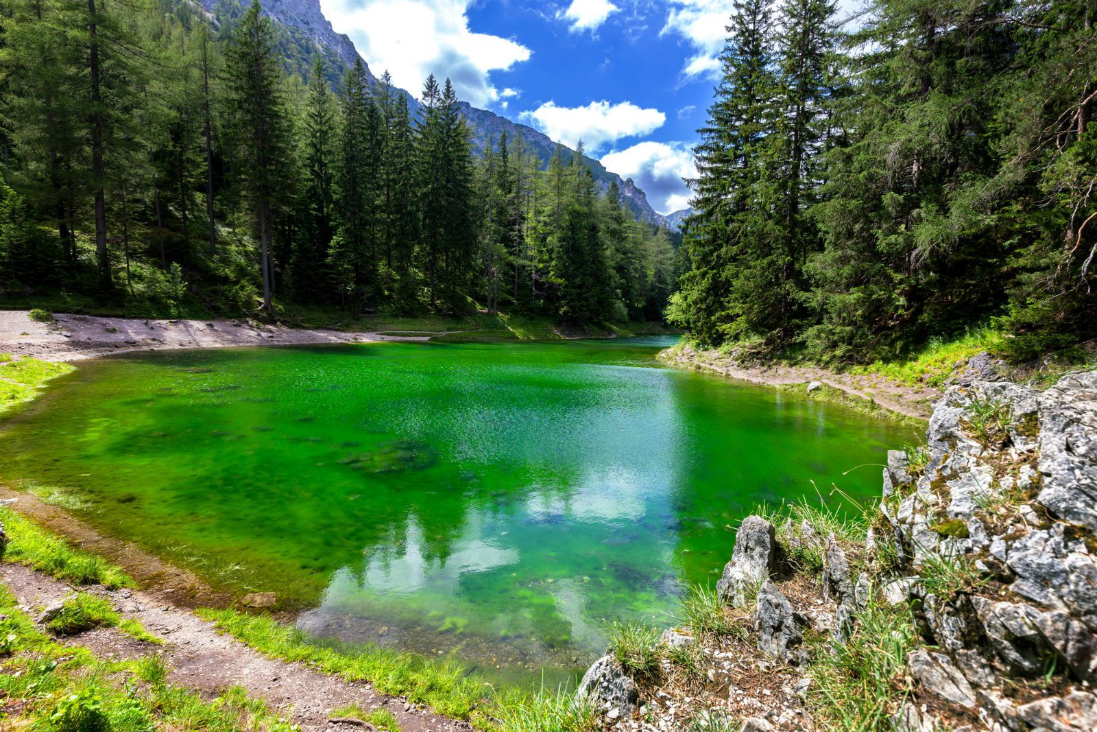 Зеленое озеро заб край