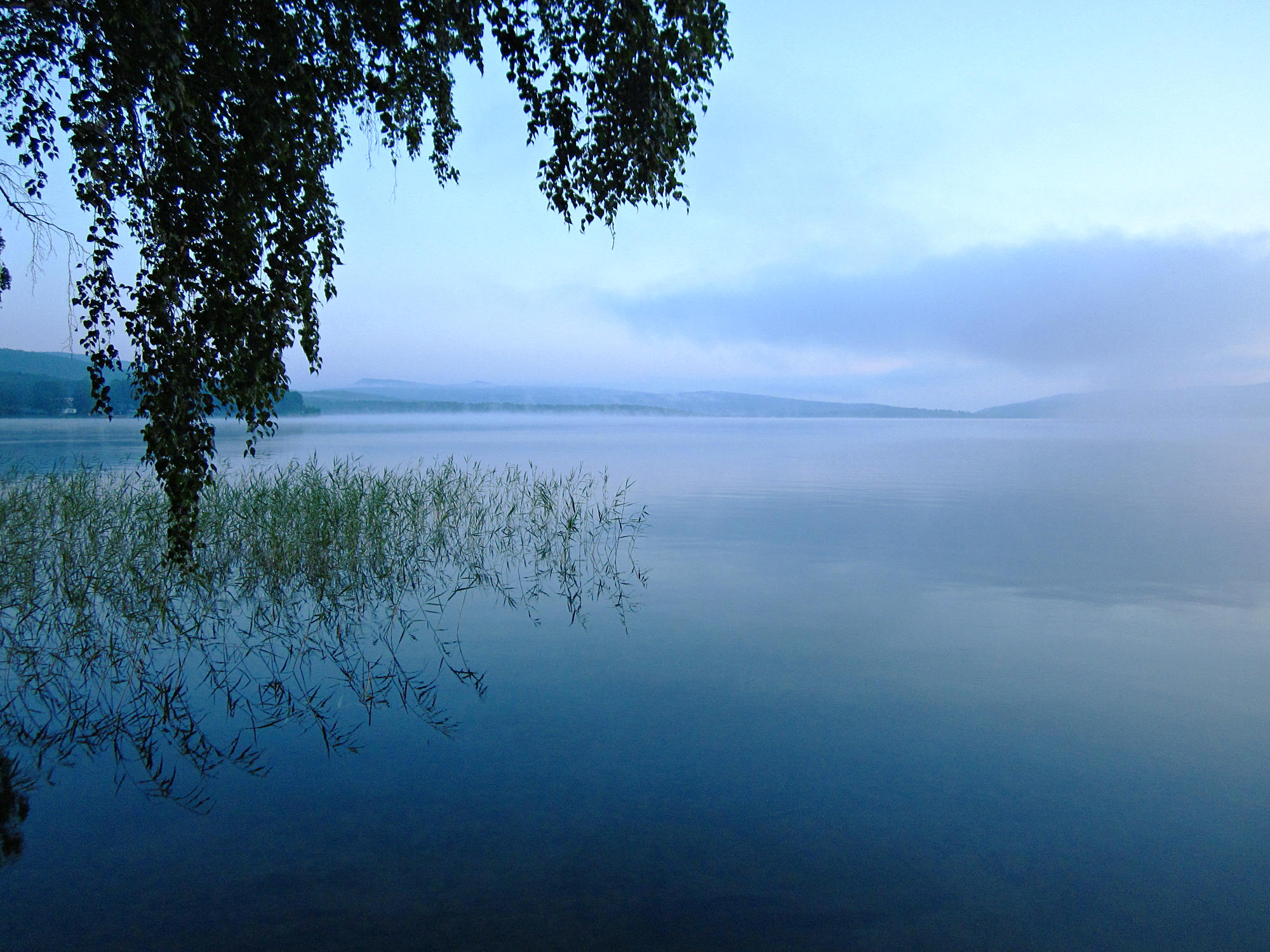 Увидев хорошо знакомое озеро. Озеро Еловое Шарыповский район. Озеро парное Шарыповский район. Шарыпово озеро Инголь. Озеро Инголь Шарыповский район.