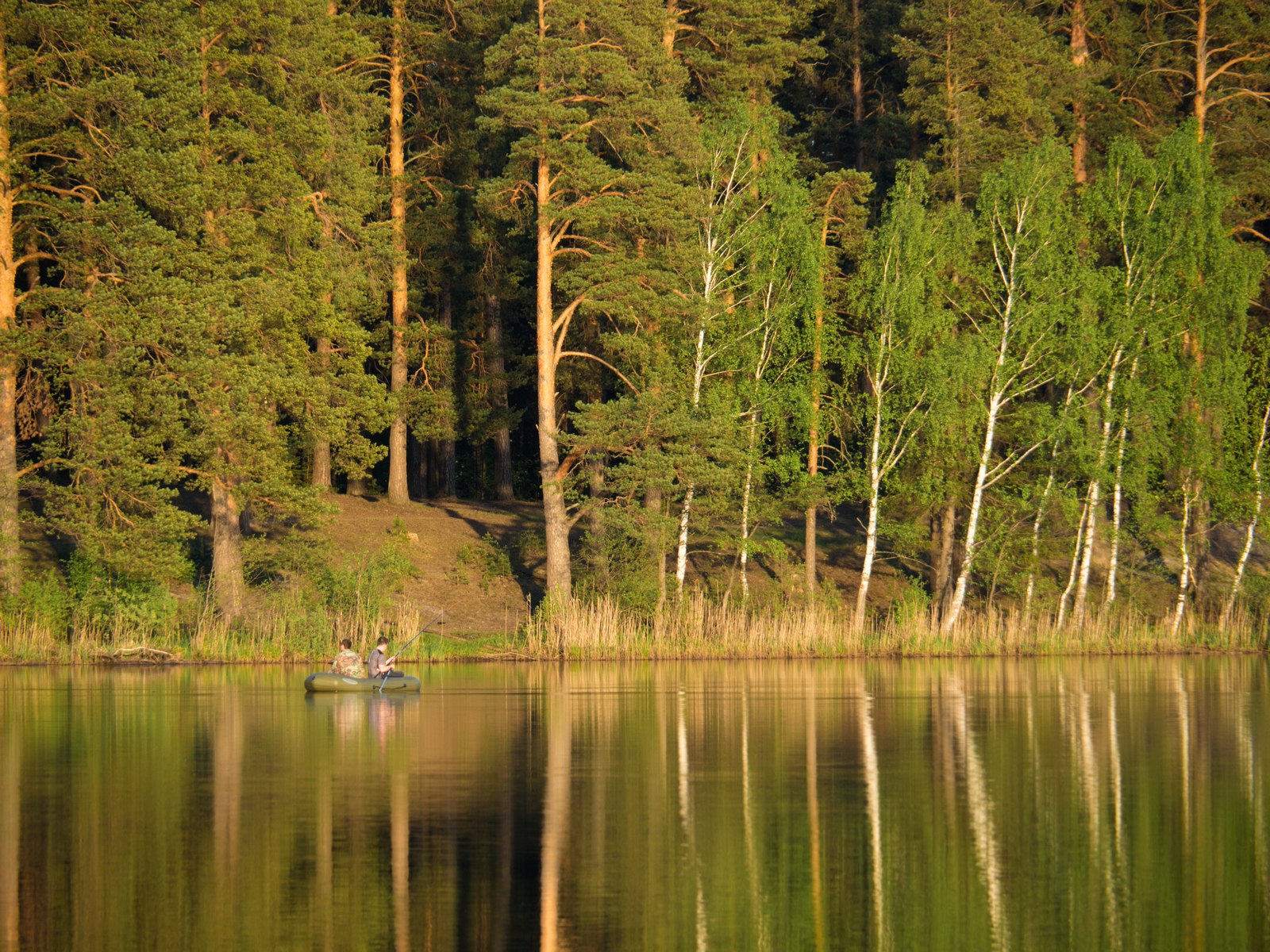 озеро баженовка владимирская область