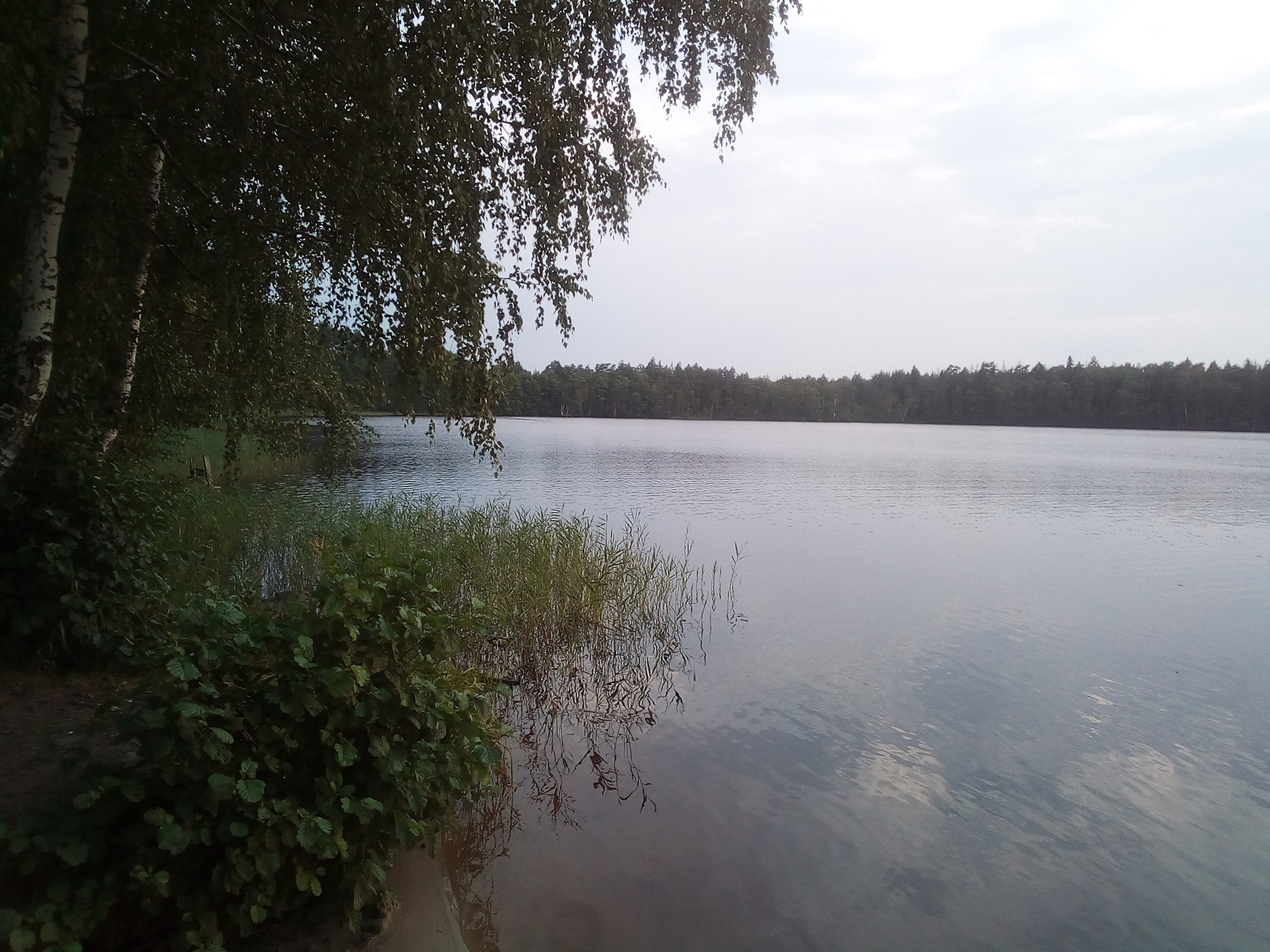 черное озеро владимирская область