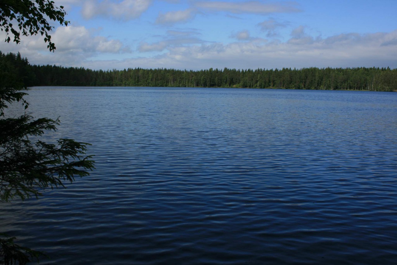 Чёрное озеро Владимирская область