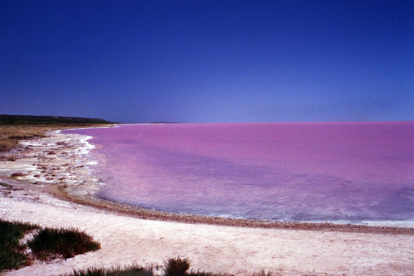Малиновое озеро Австралия