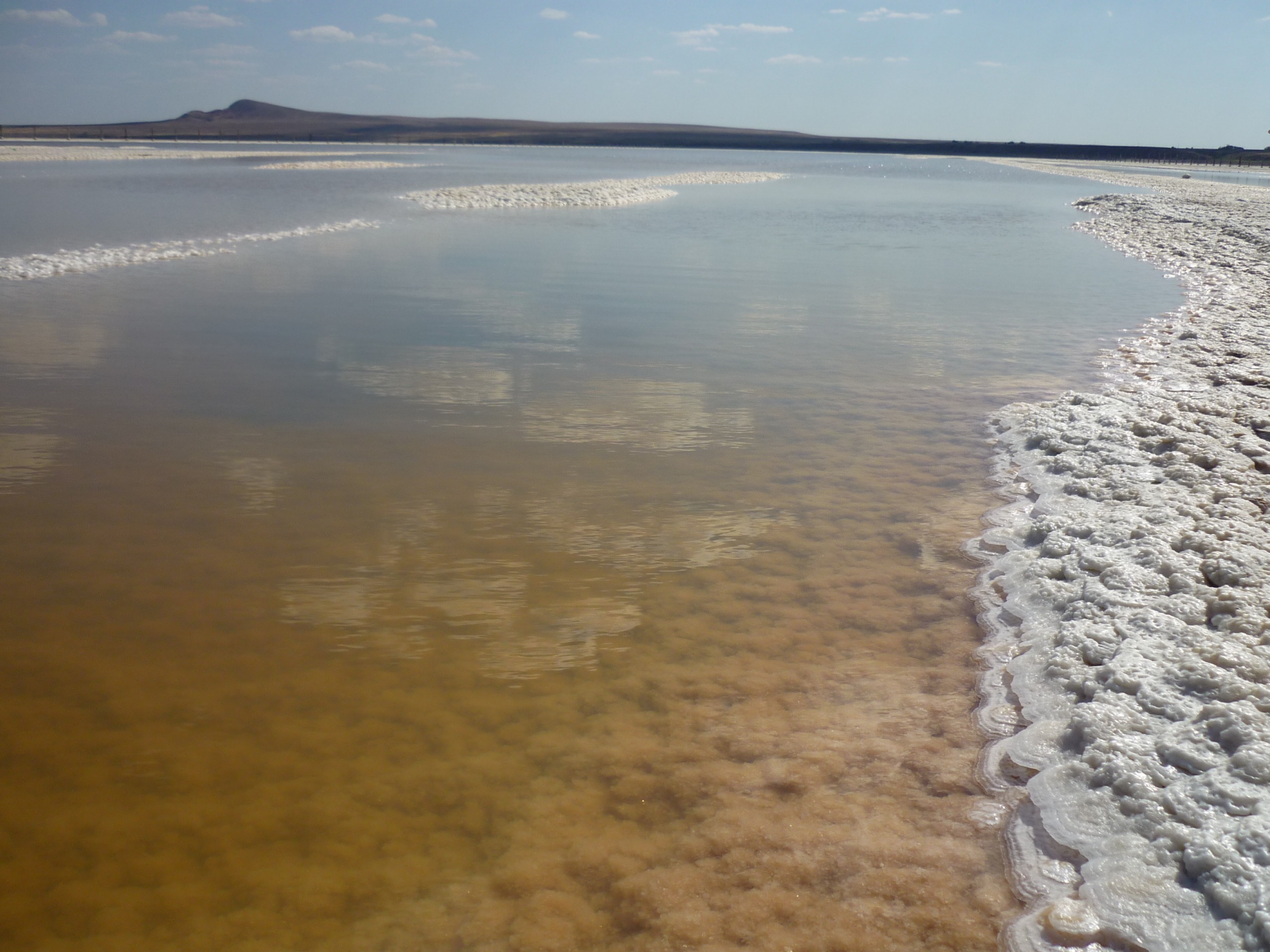 Озеро в астраханской области баскунчак фото соленое