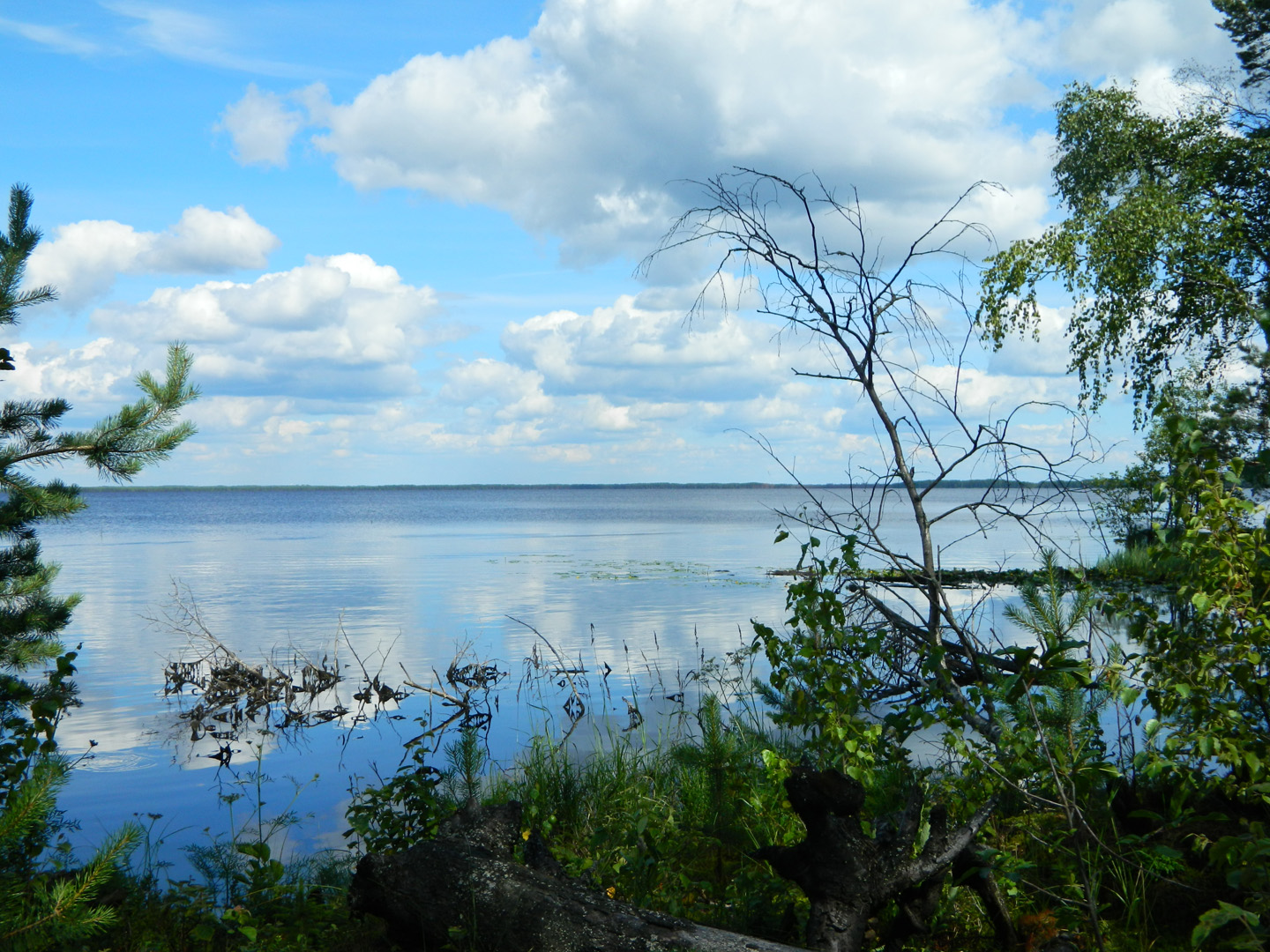 Серхловское озеро Вологодская область