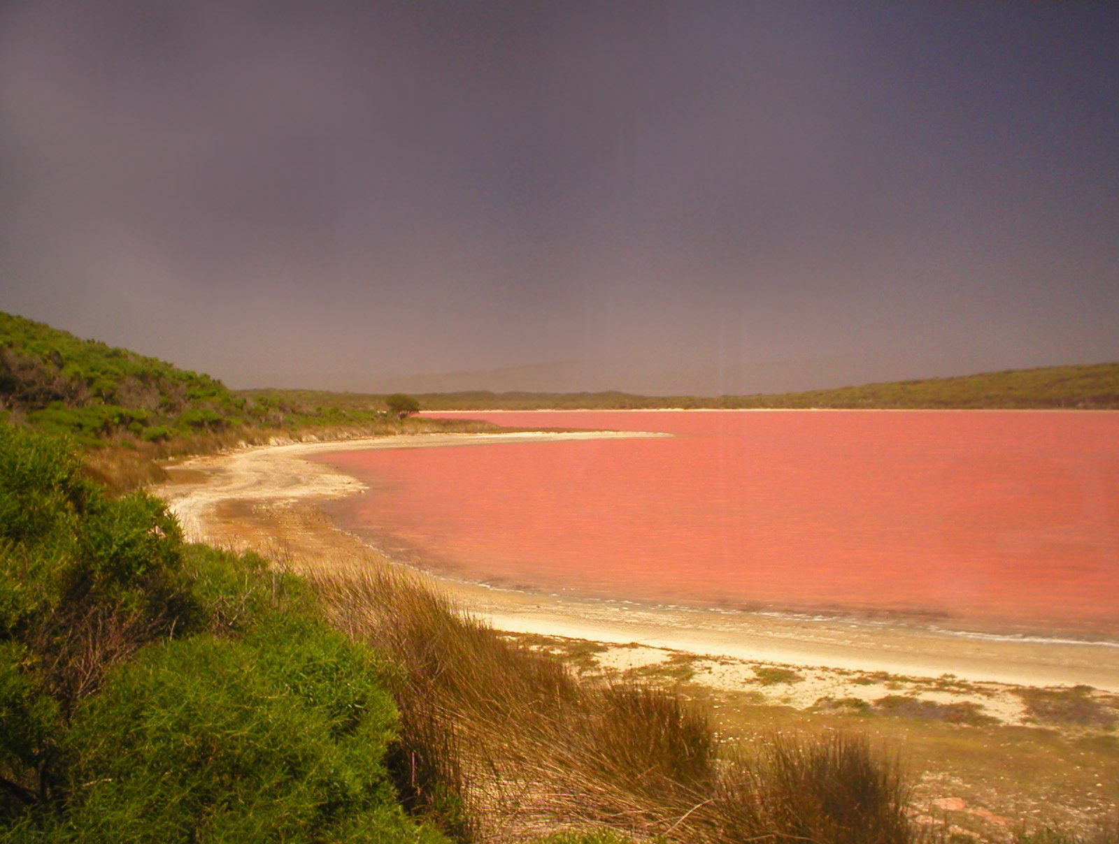 Озеро хиллер австралия