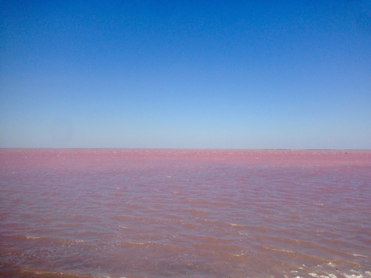 Розовое озеро в Сочи