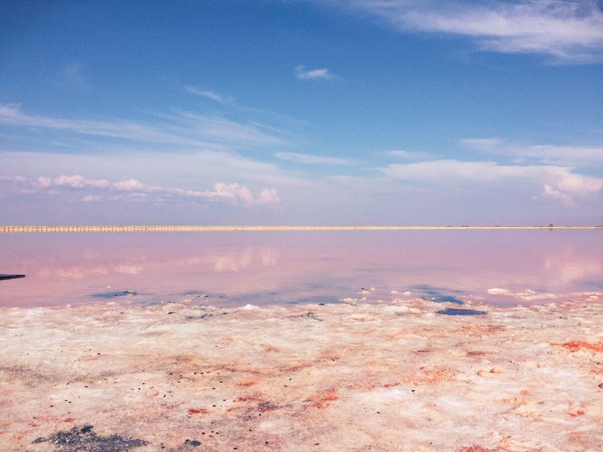 Розовое озеро сасык. Сасык Сиваш озеро. Озеро Сасык Сиваш Евпатория. Розовое озеро Евпатория Сасык Сиваш. Озеро Сасык-Сиваш июль-август.