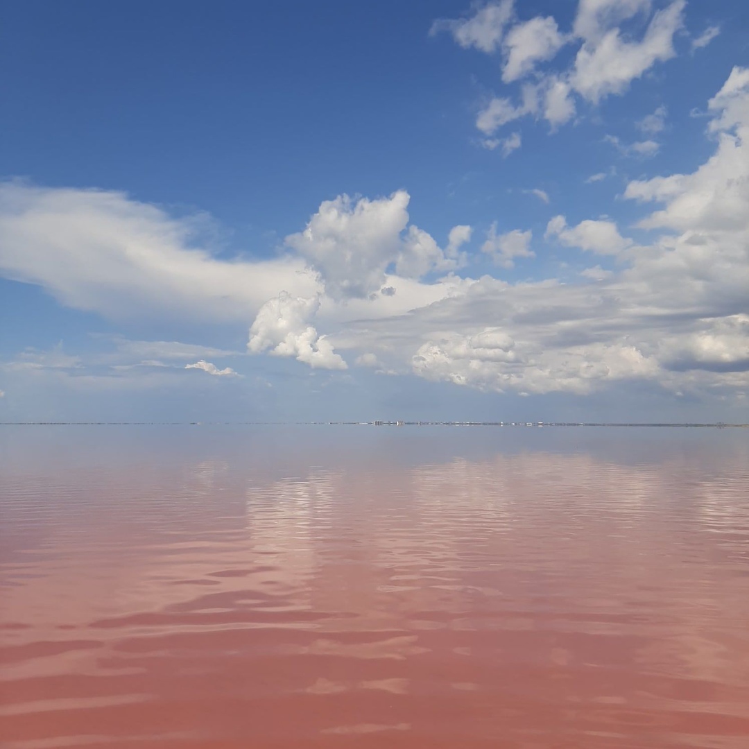 Розовое озеро в Крыму 2022