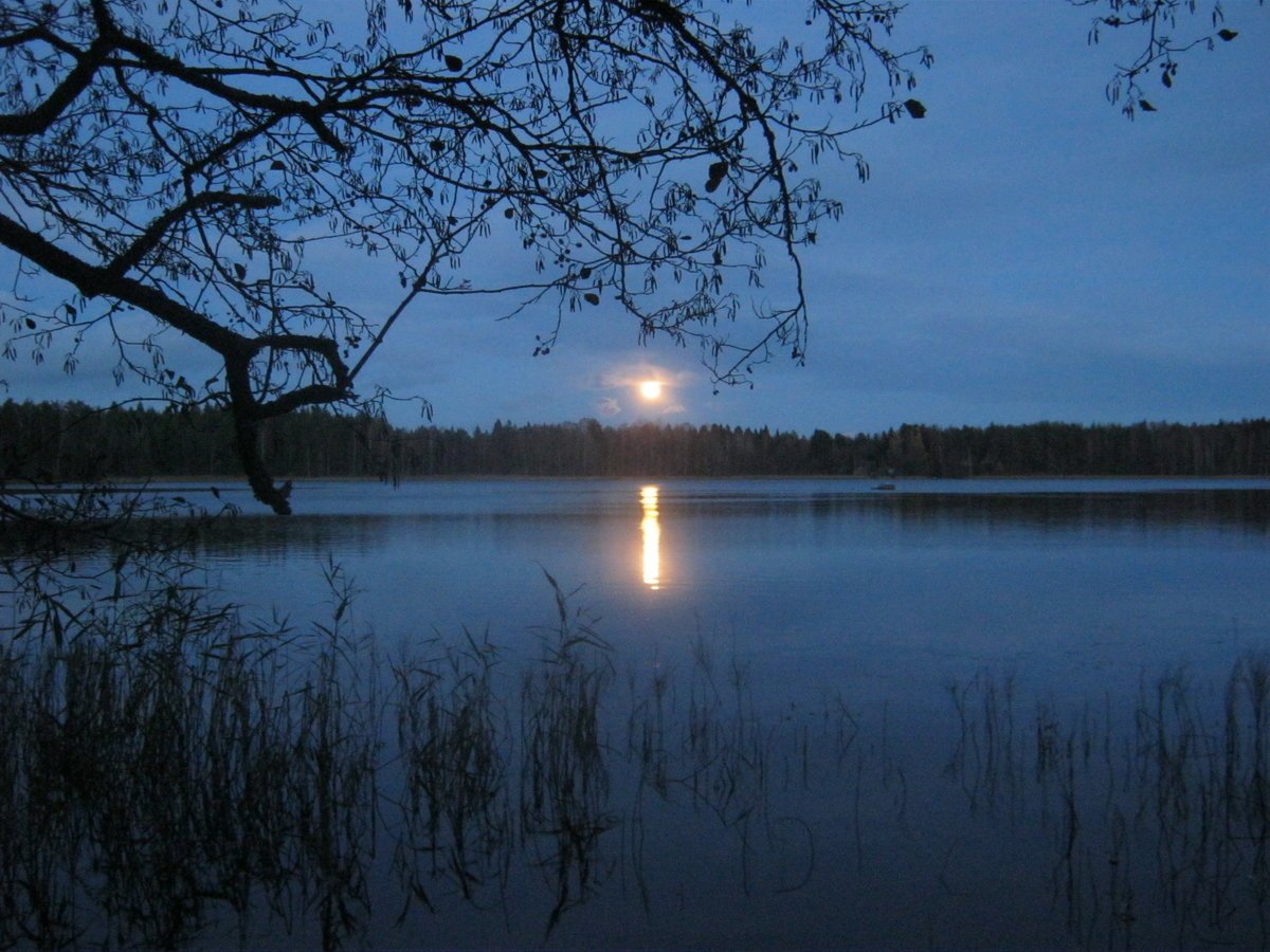 Луна купается. Луна и озеро. Река ночью. Луна река. Озеро ночью.