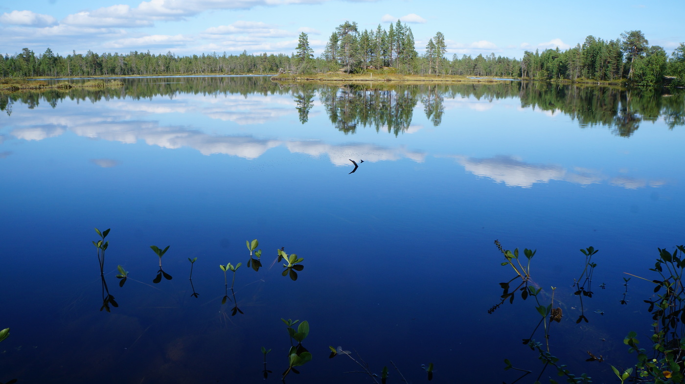 Озеро надежды автор. Озеро надежды. Озеро надежды картинки. Озеро надежды Сахалин.