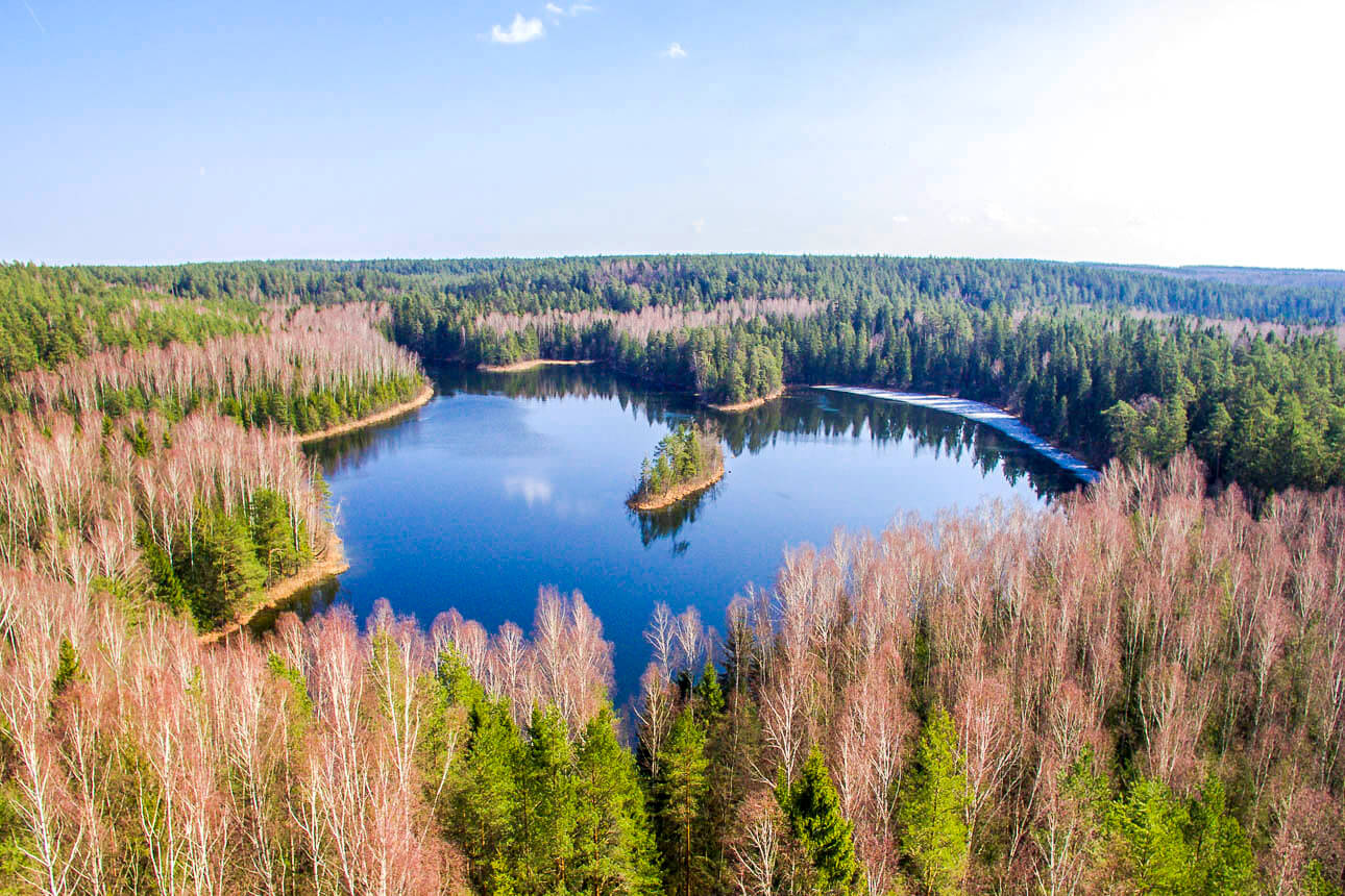 Лесные озера белоруссия