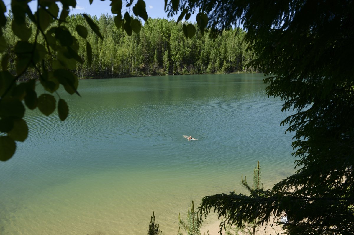 Цвелодубово озеро