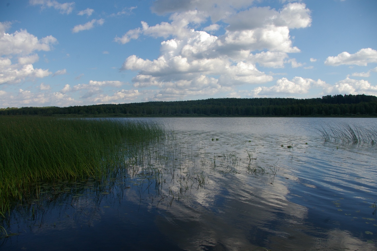 Меревское озеро в Лужском районе