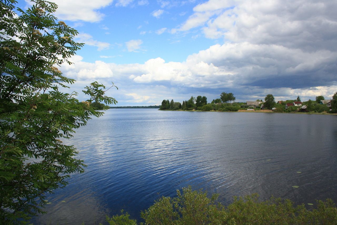 Озеро Колоденское Лужский район