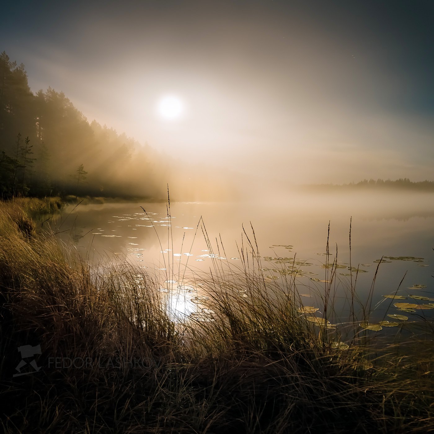 1 месяц в озере. Озеро туманное Приозерский район. Озеро в тумане. Туман река ночь. Туманный пейзаж.