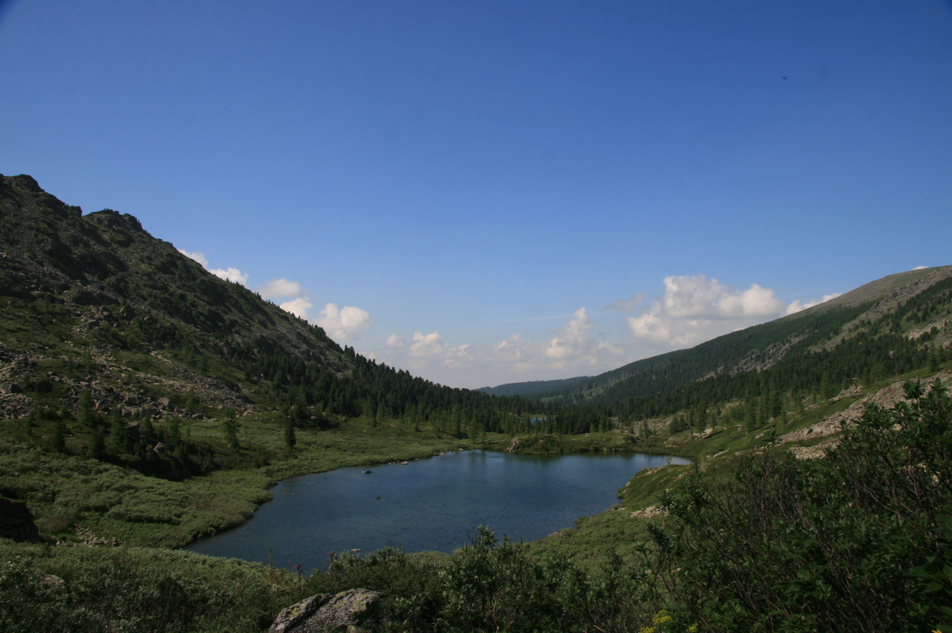 Кур Куль озеро Куреево