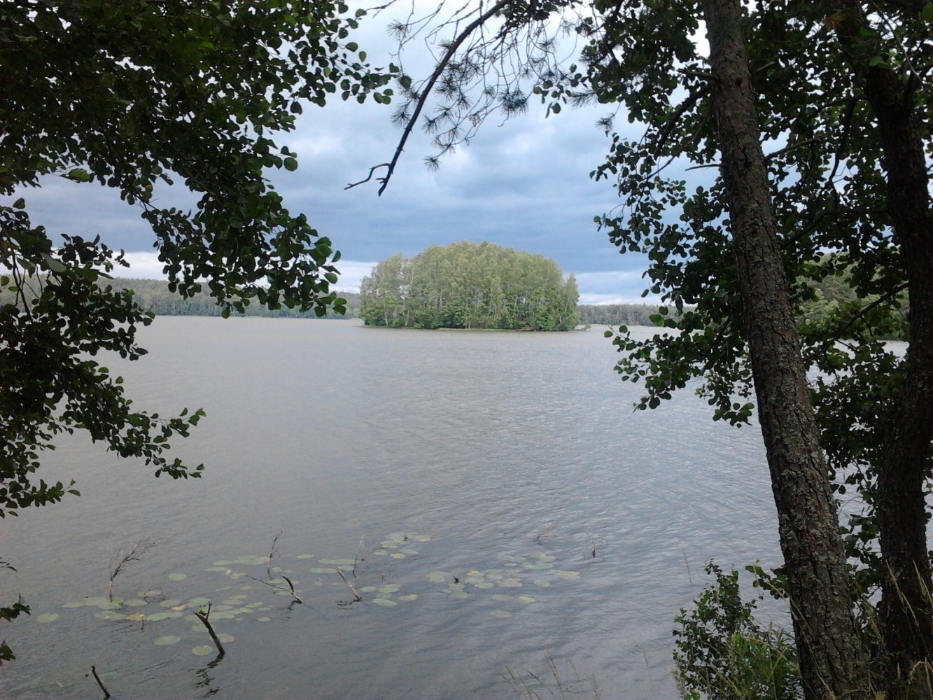 Озеро Пелюга Лужский