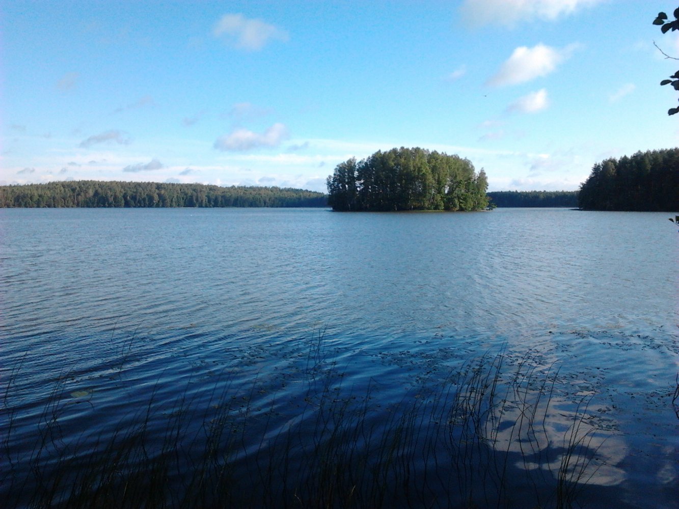 Озеро Сяберо Ленинградская