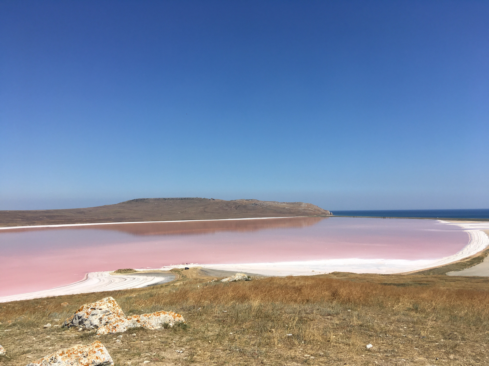 Розовый водоем в крыму. Кояшское озеро Керчь. Кояшское озеро гора Опук. Опукский заповедник розовое озеро. Кояшское розовое озеро в Крыму.