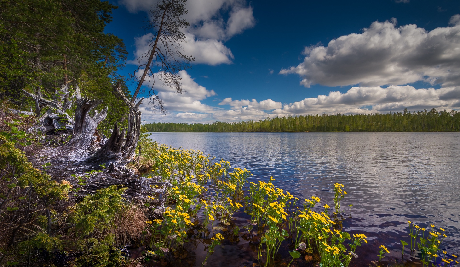 Озеро Сайма Финляндия обои