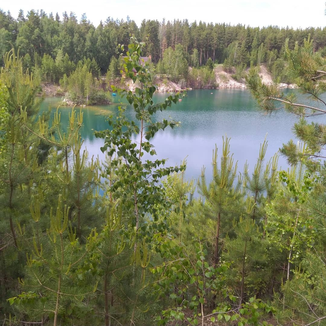 Озеро Оазис Ордынский район