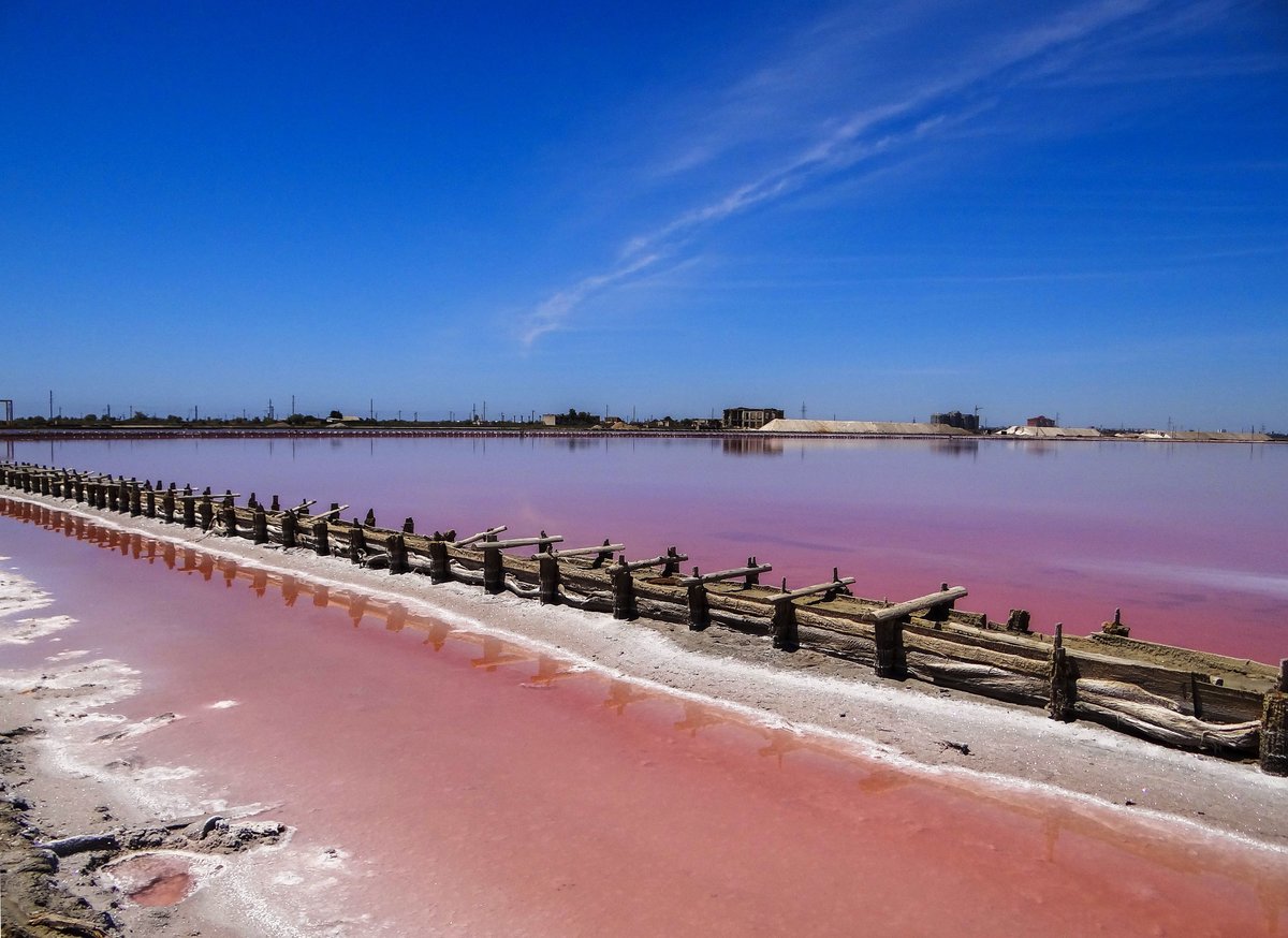 Розовое озеро сасык. Сасык-Сиваш. Сасык Сиваш озеро. Сасык-Сиваш Евпатория. Озеро Сасык-Сиваш, Крым, Евпатория.