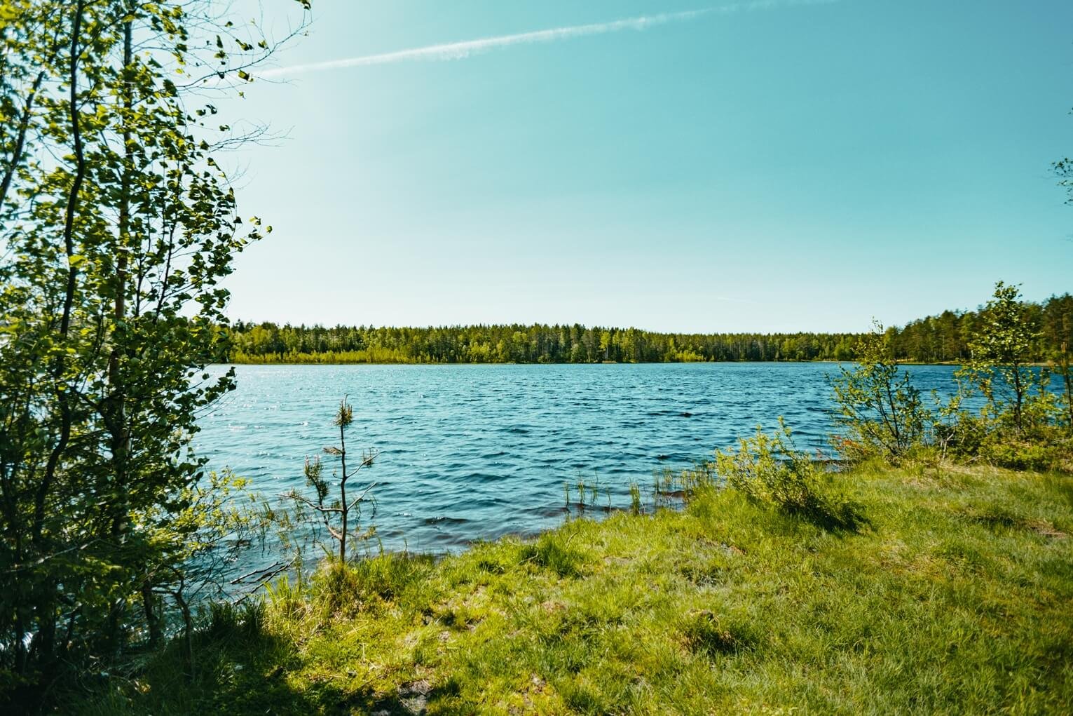 капорское озеро ленинградская область