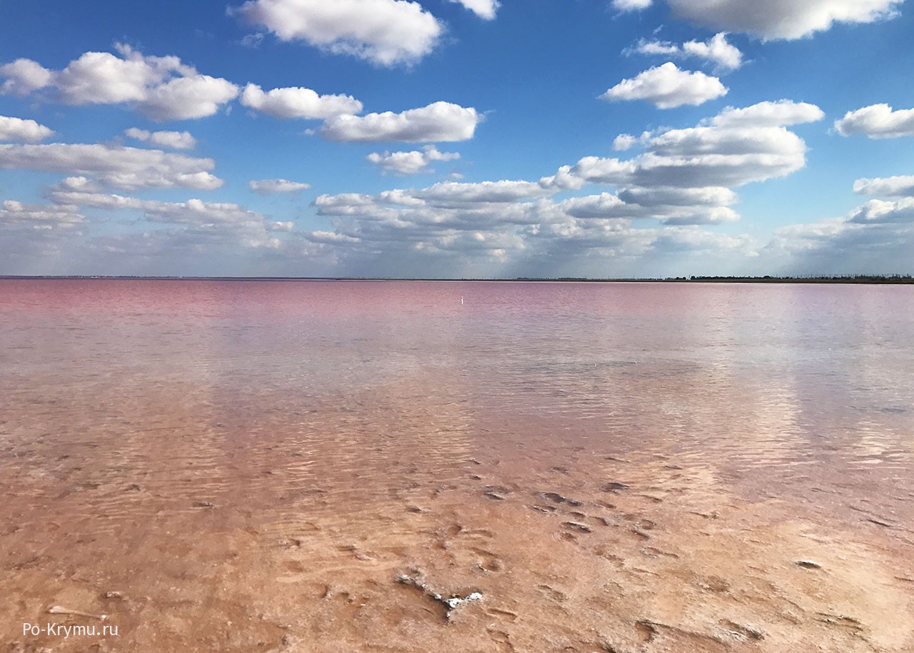 Розовое озеро в Крыму Саки Сиваш
