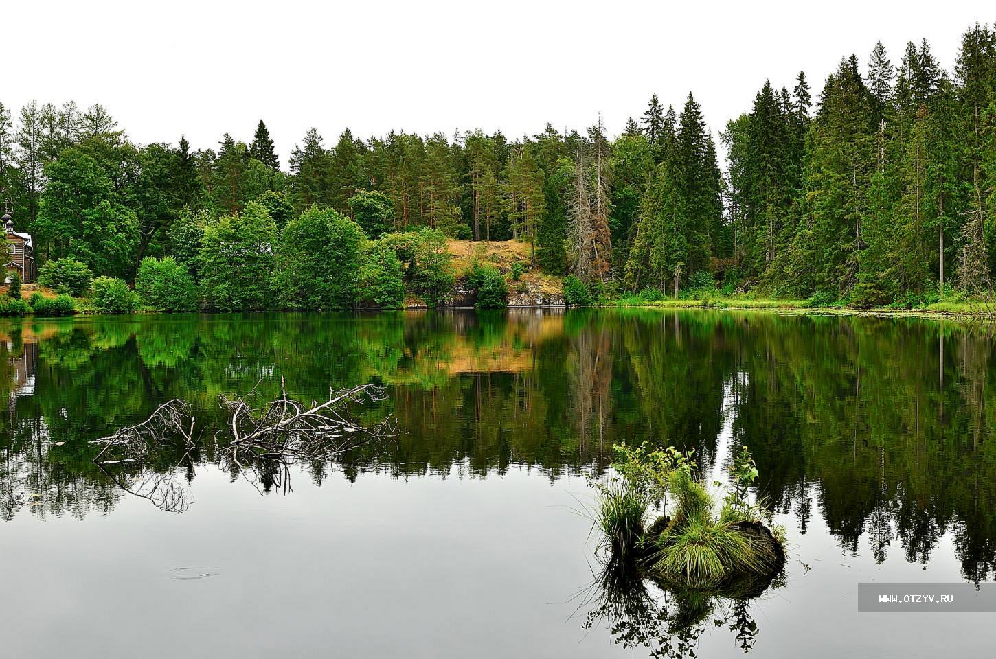 Озеро в лодейном поле фото