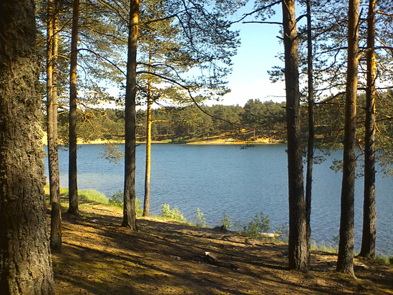 Озеро в лодейном поле фото