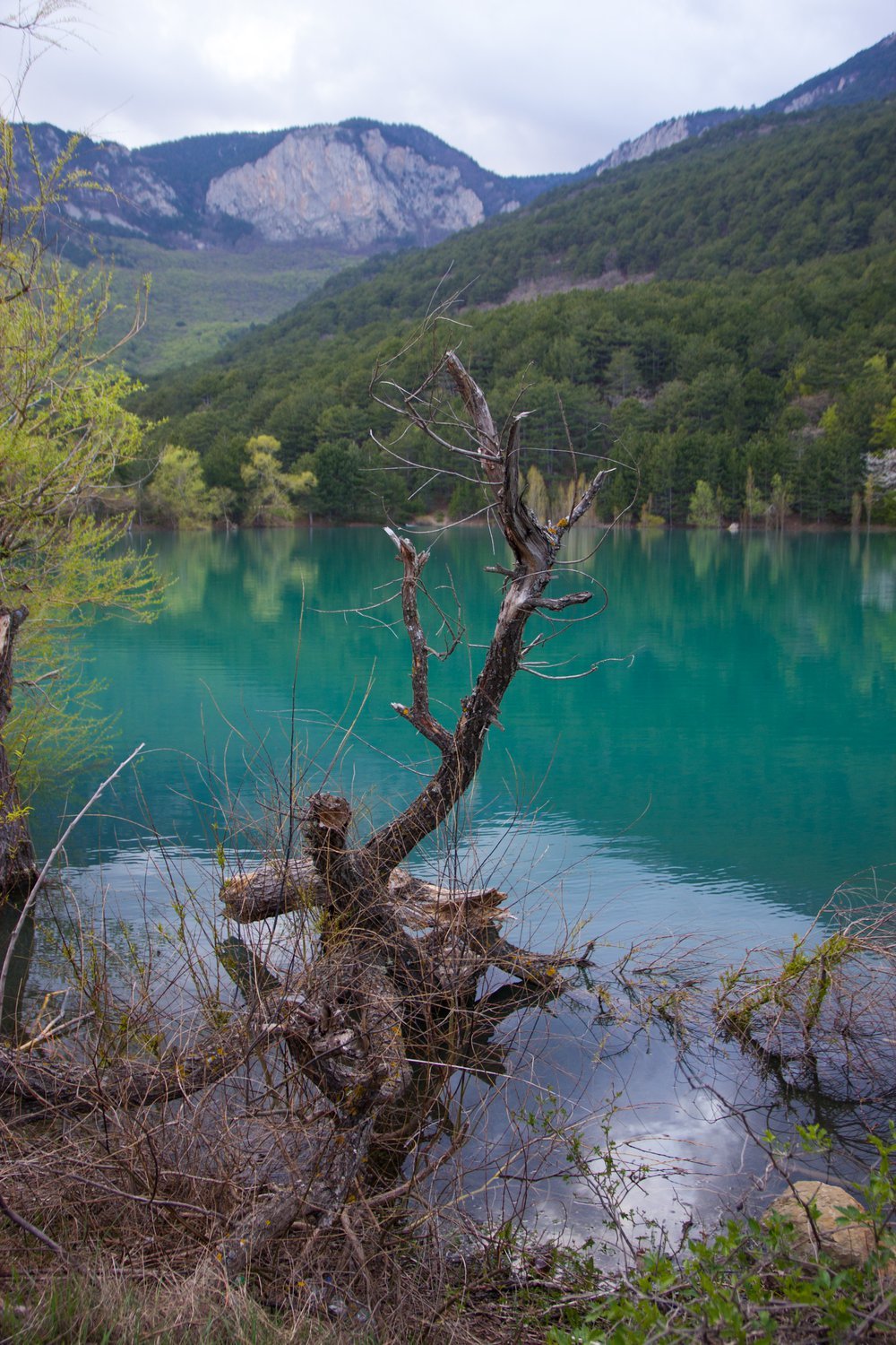Юбилейное озеро Запрудное Крым