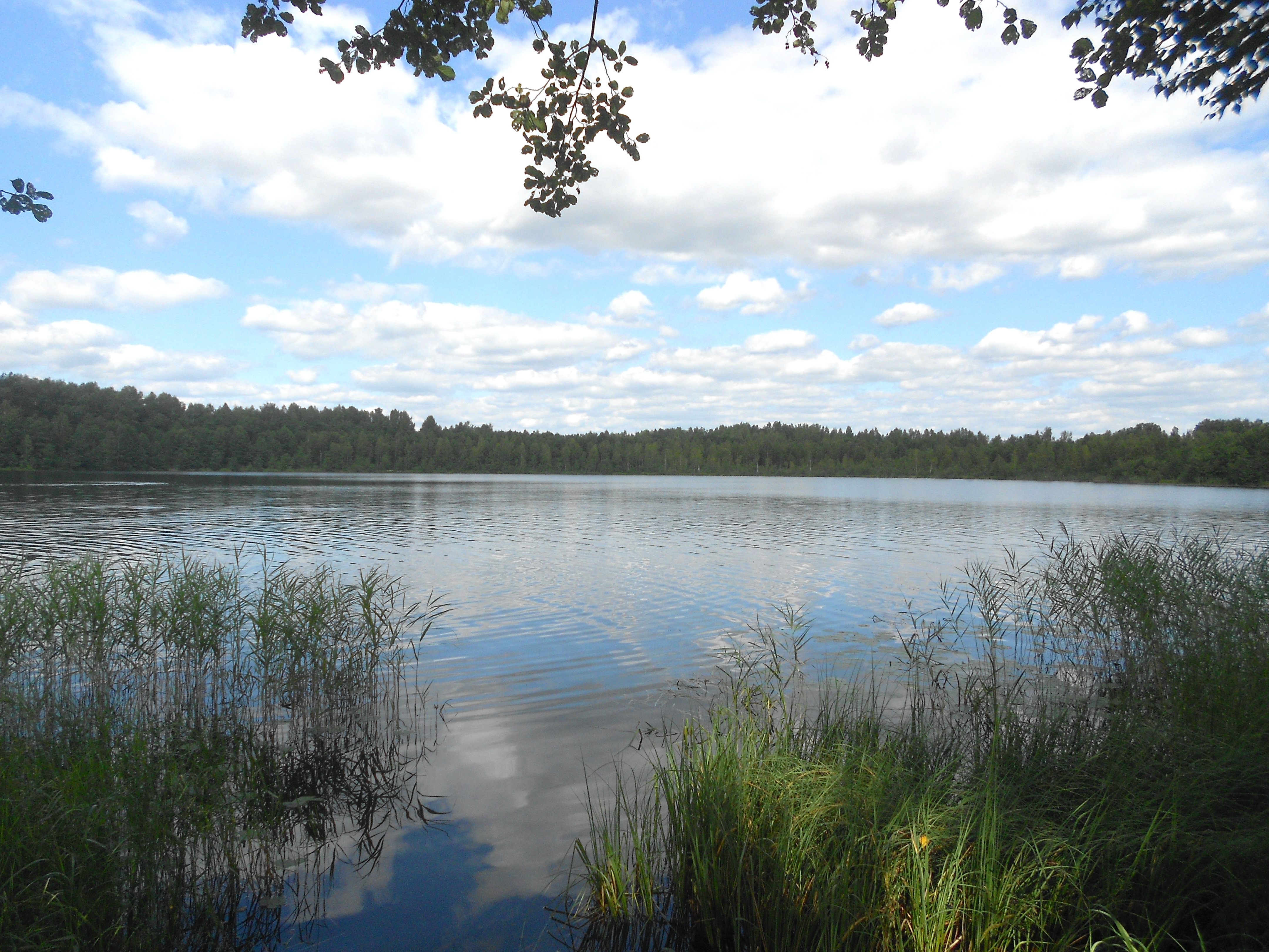 Светлоярское озеро Нижегородская область
