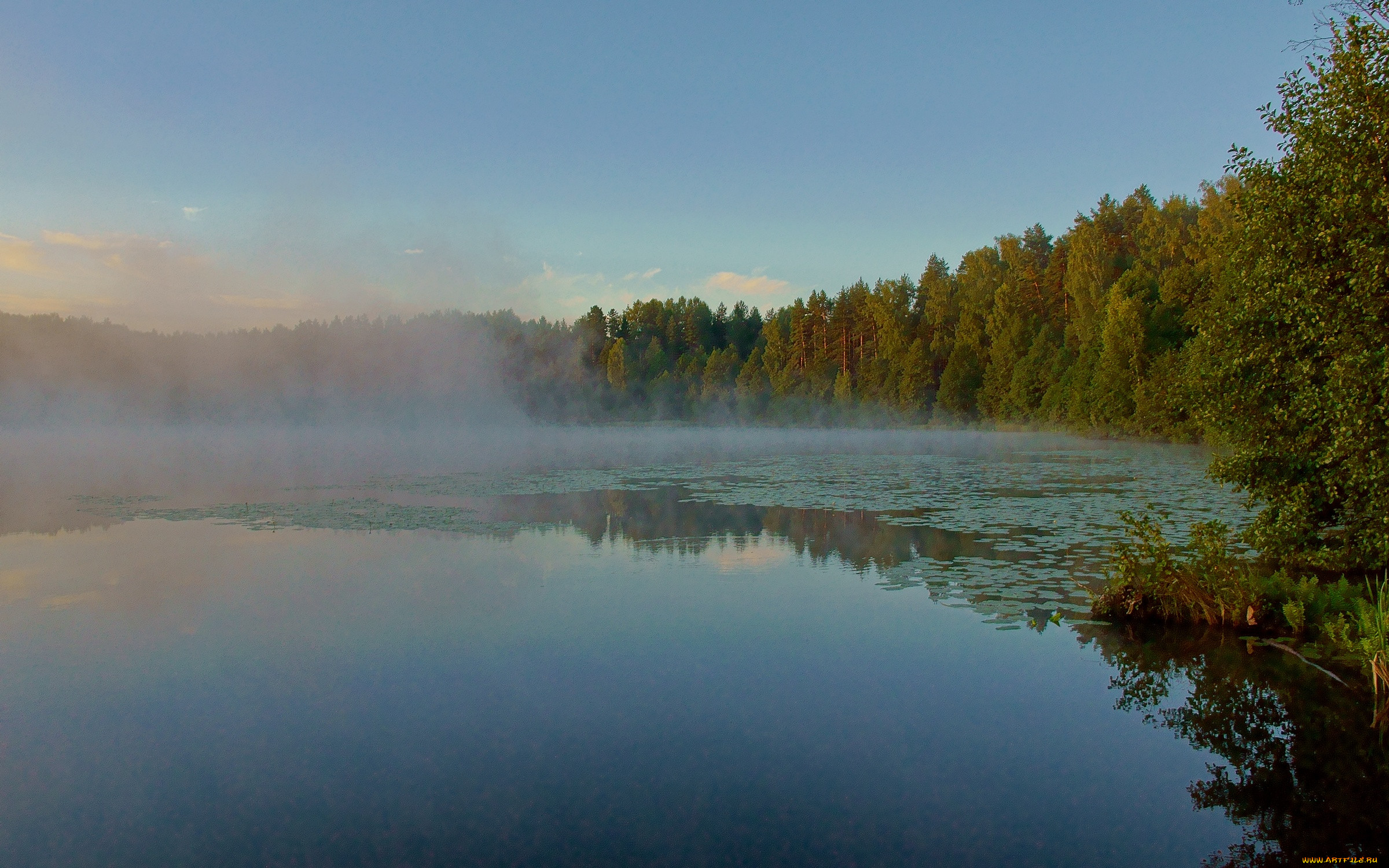Озеро Светлояр Нижегородская область фото