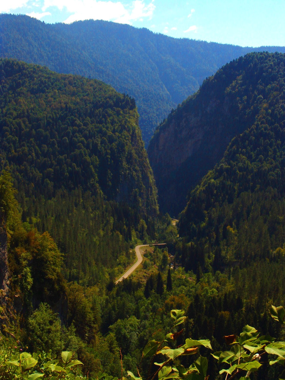 Дорога на озеро рица. Юпшарский каньон Абхазия. Юпшарский каньон озеро Рица. Озеро Рица каменный мешок. Каньон Абхазия Рица.