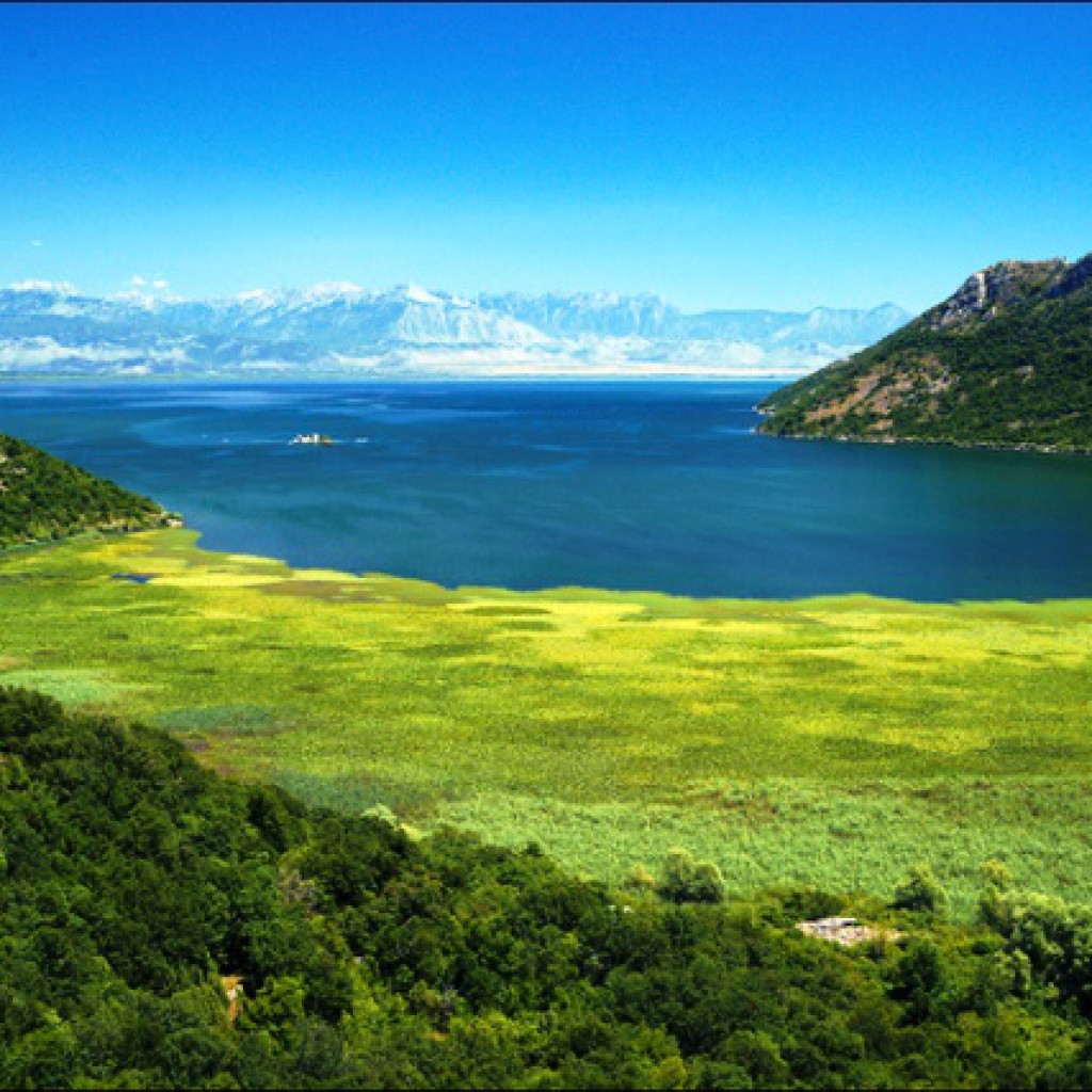 Озеро Шкодер Черногория