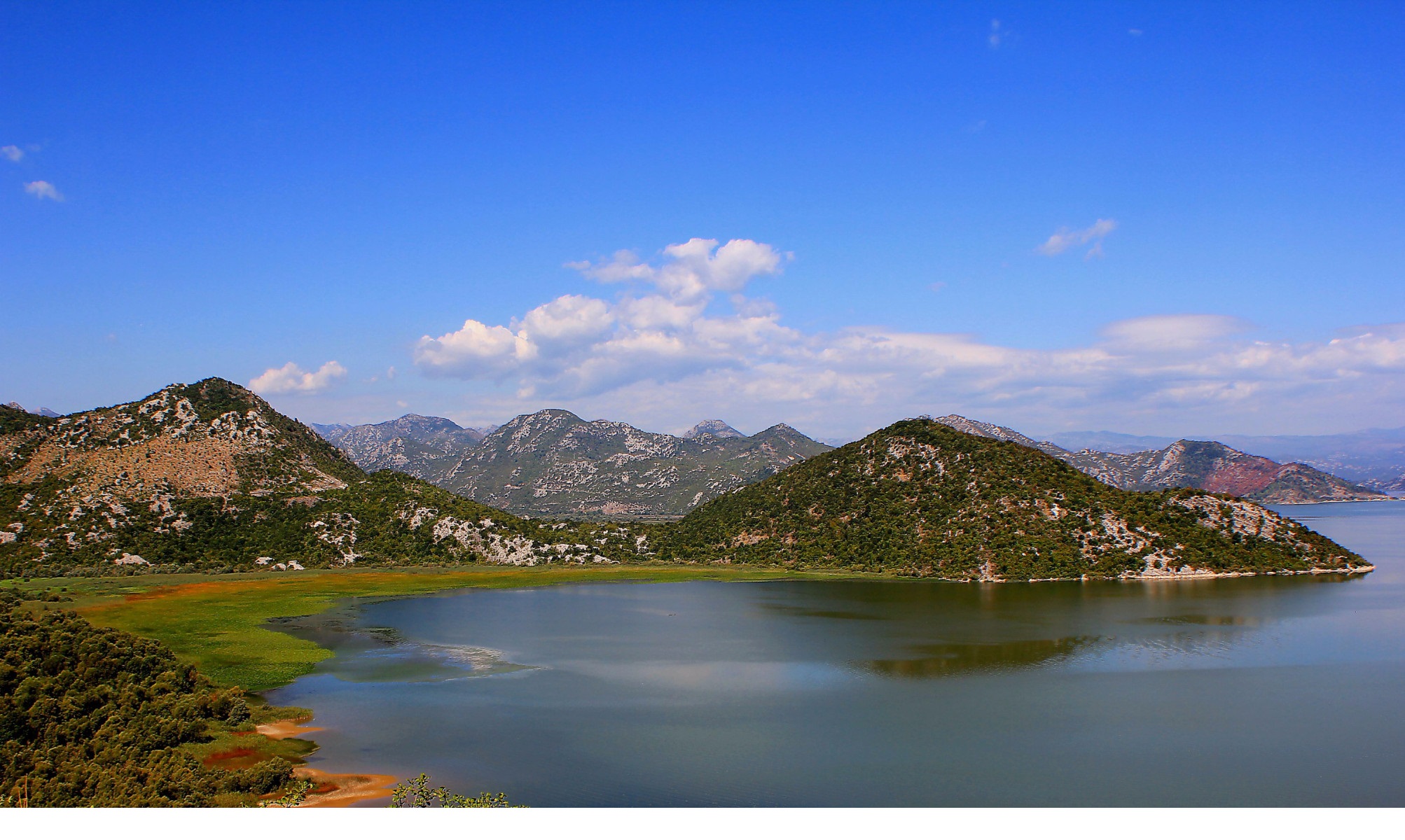 Скадарское озеро Черногория