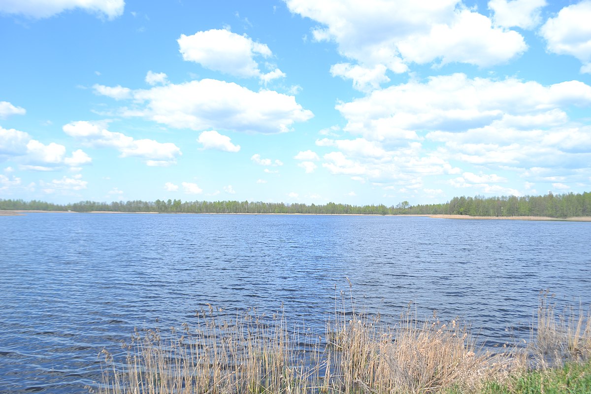 Озеро Филинское Шатурский район