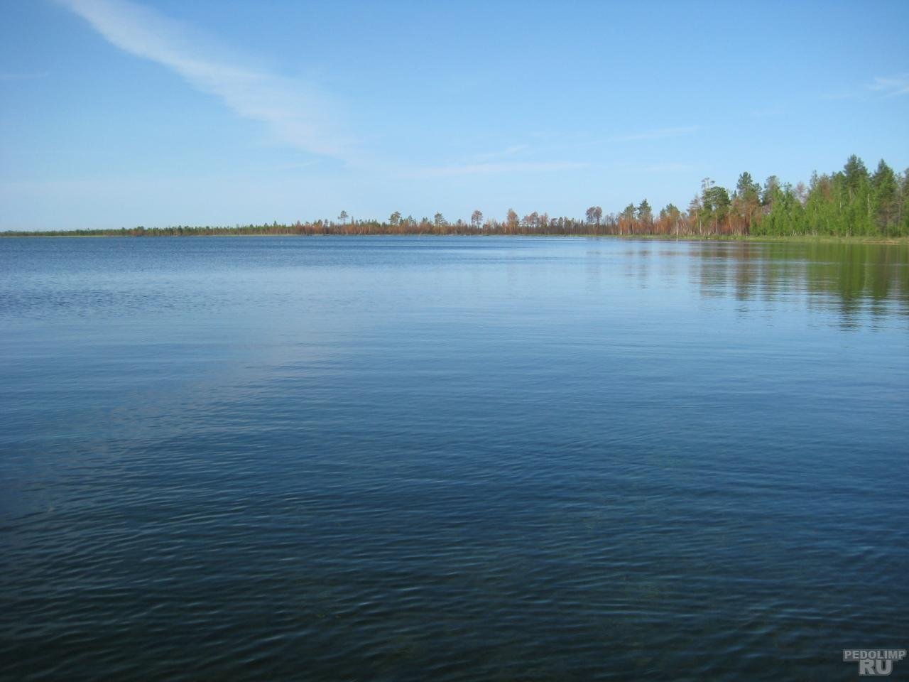 Озеро в Урае ХМАО