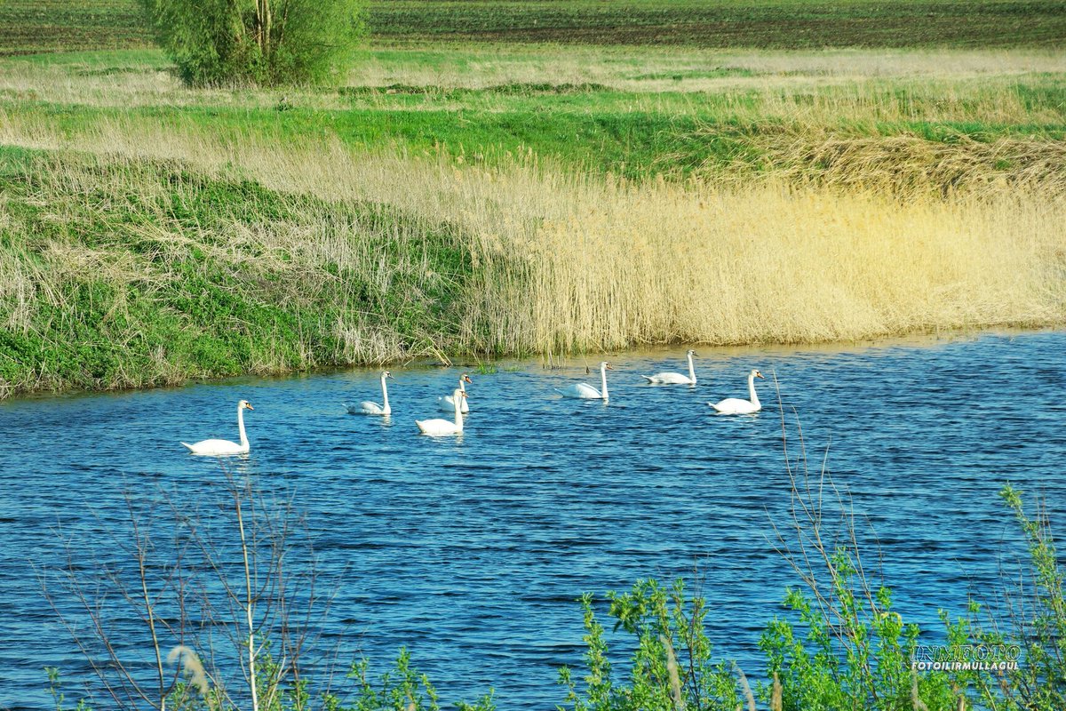 Кушнаренково озеро Канлы