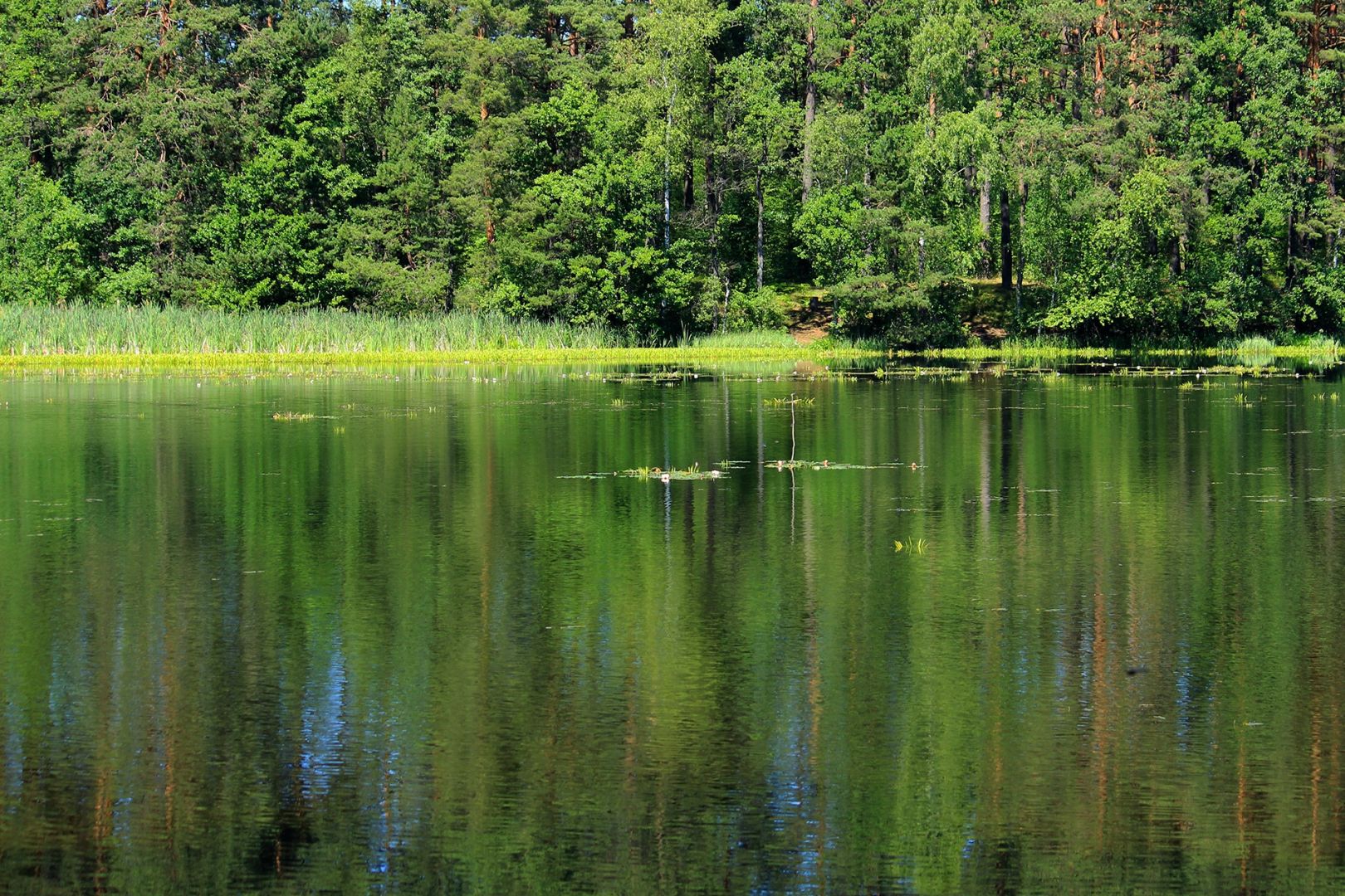 Озеро ключик в нижегородской области фото