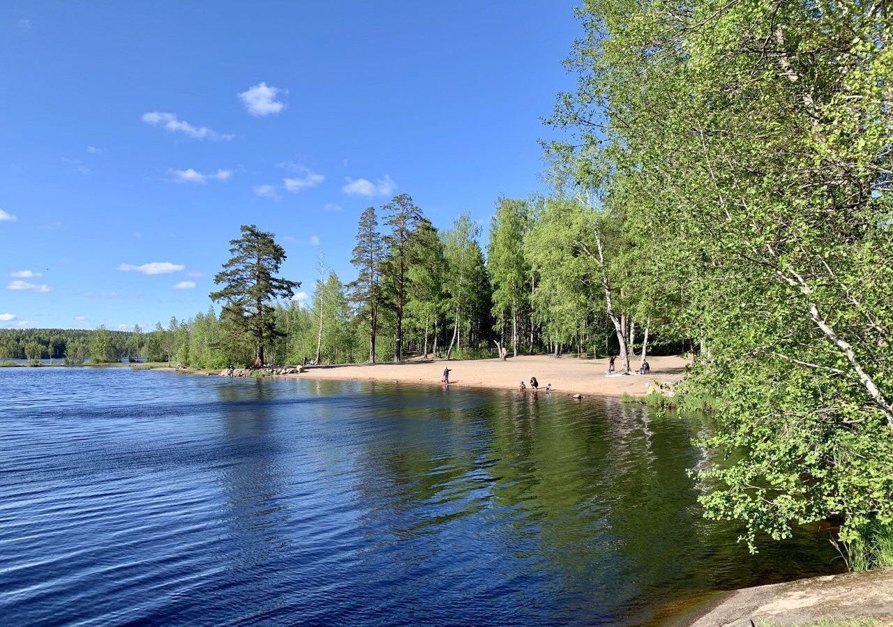Медное озеро Ленинградская область