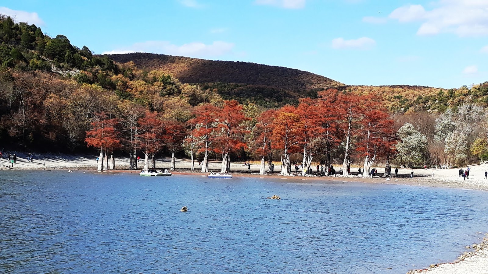 Кипарисовое озеро в анапе осенью фото