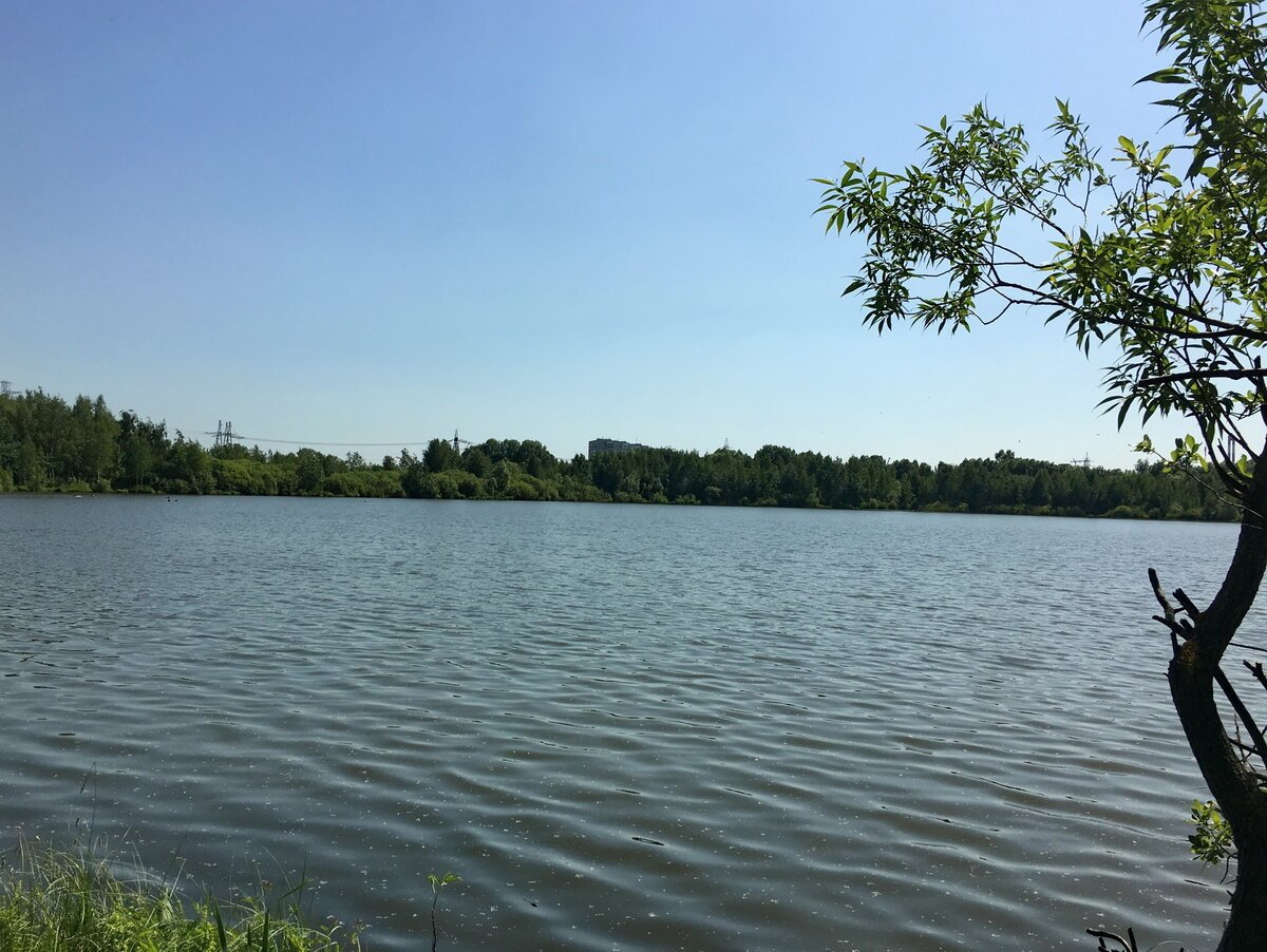 Озеро святое рязанская область шиловский район фото
