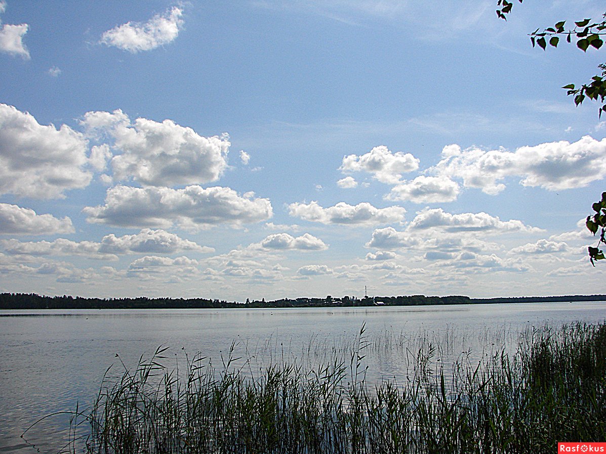 Святое озеро Брянская область 2022