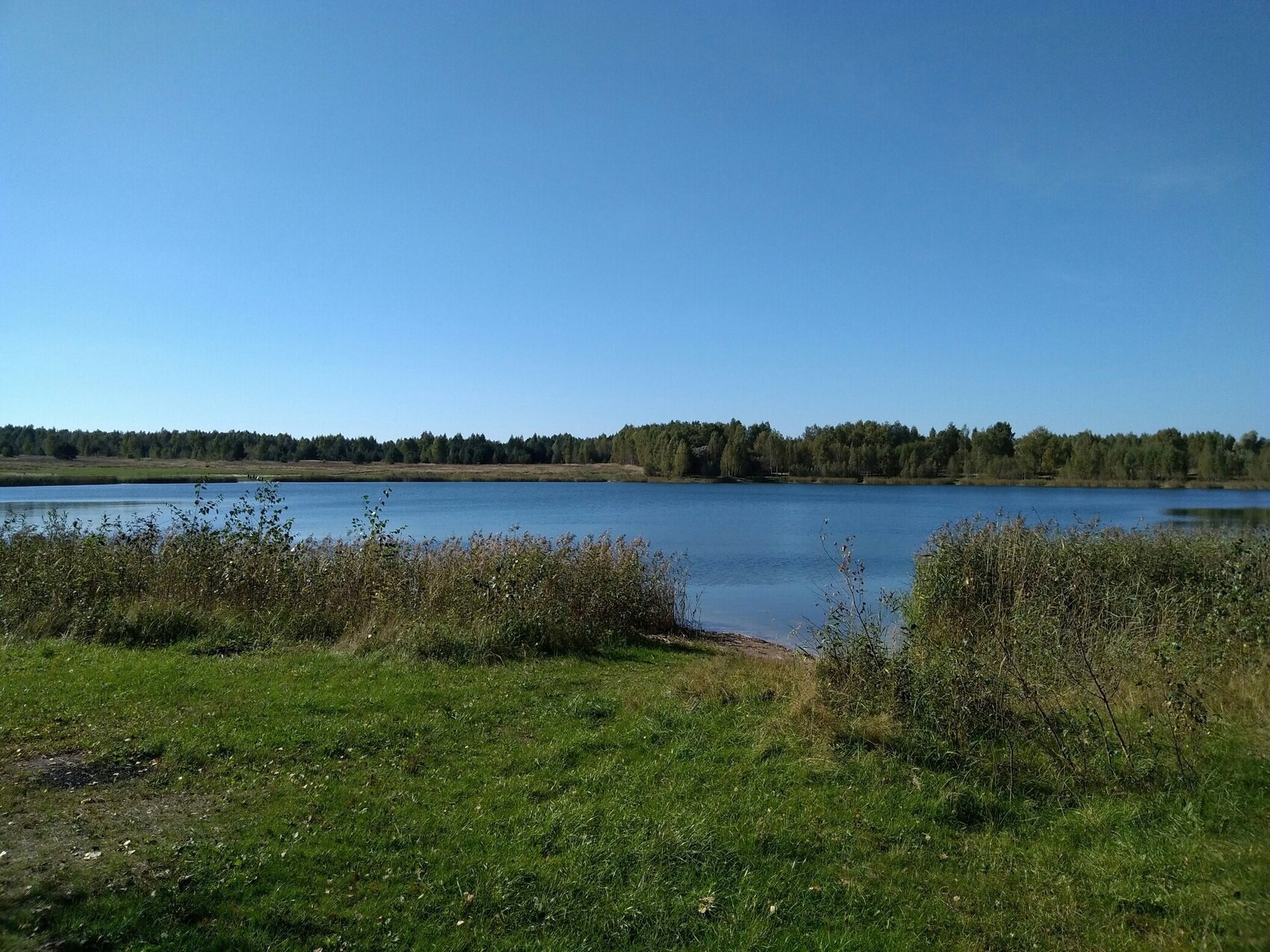 Круглое озеро в Рязани