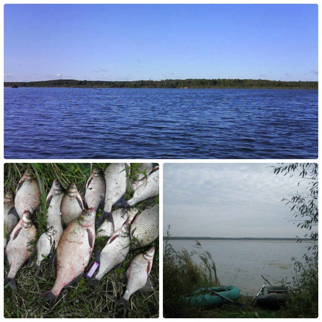 Озеро святое Рязанская область Шиловский район рыбалка