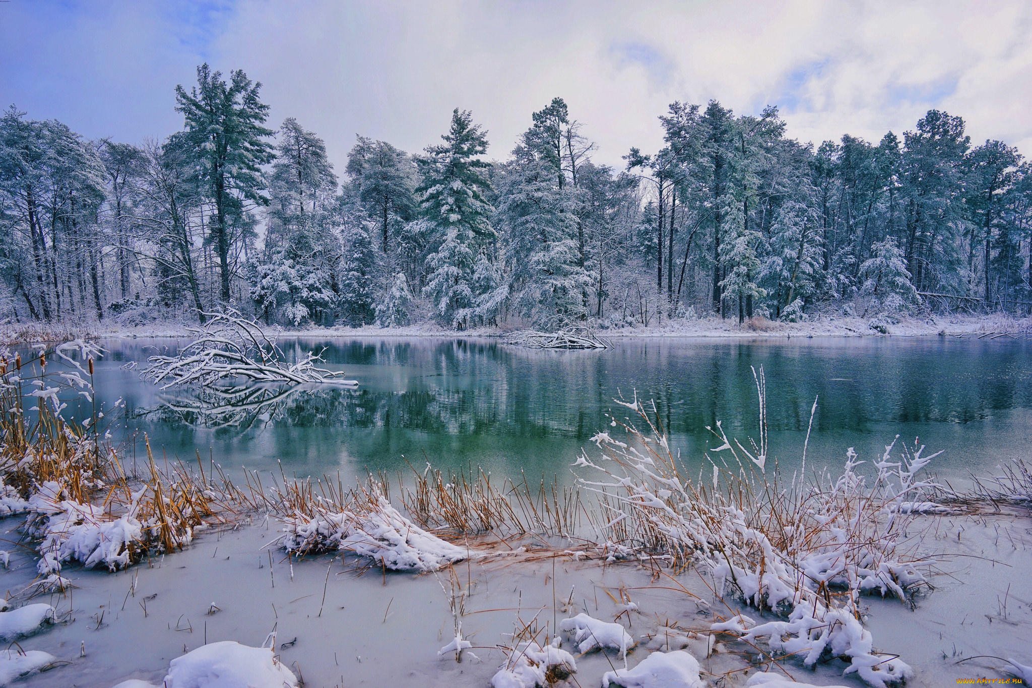 Зимнее озеро в лесу