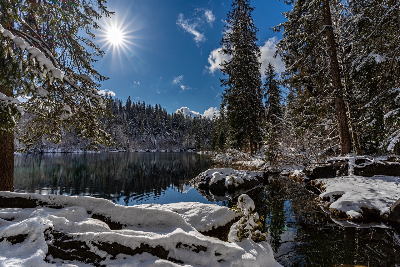 Зимний лес озеро