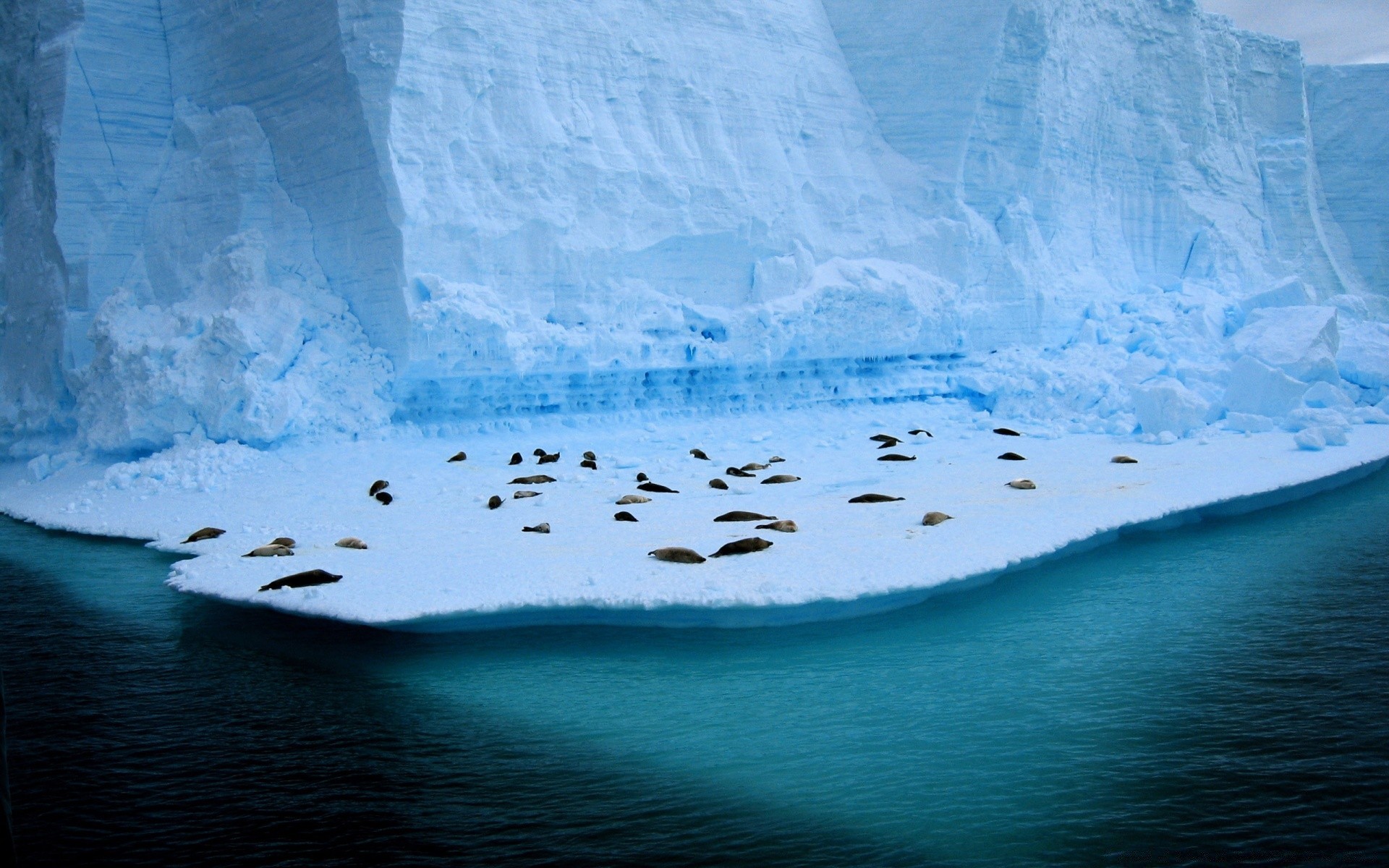 Озера в антарктиде