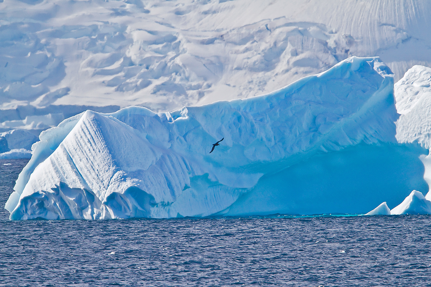 Крупнейшее антарктическое. Антарктида (материк). Шестой Континент Антарктида. Шельфовый ледник Беллинсгаузена. Дервилл Антарктида.